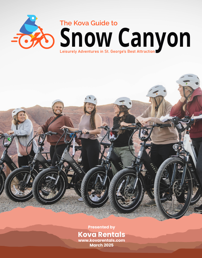 A group of people are riding bicycles in the snow canyon.