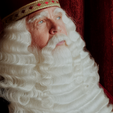 Luxe Sinterklaas Snor - Koninklijk
