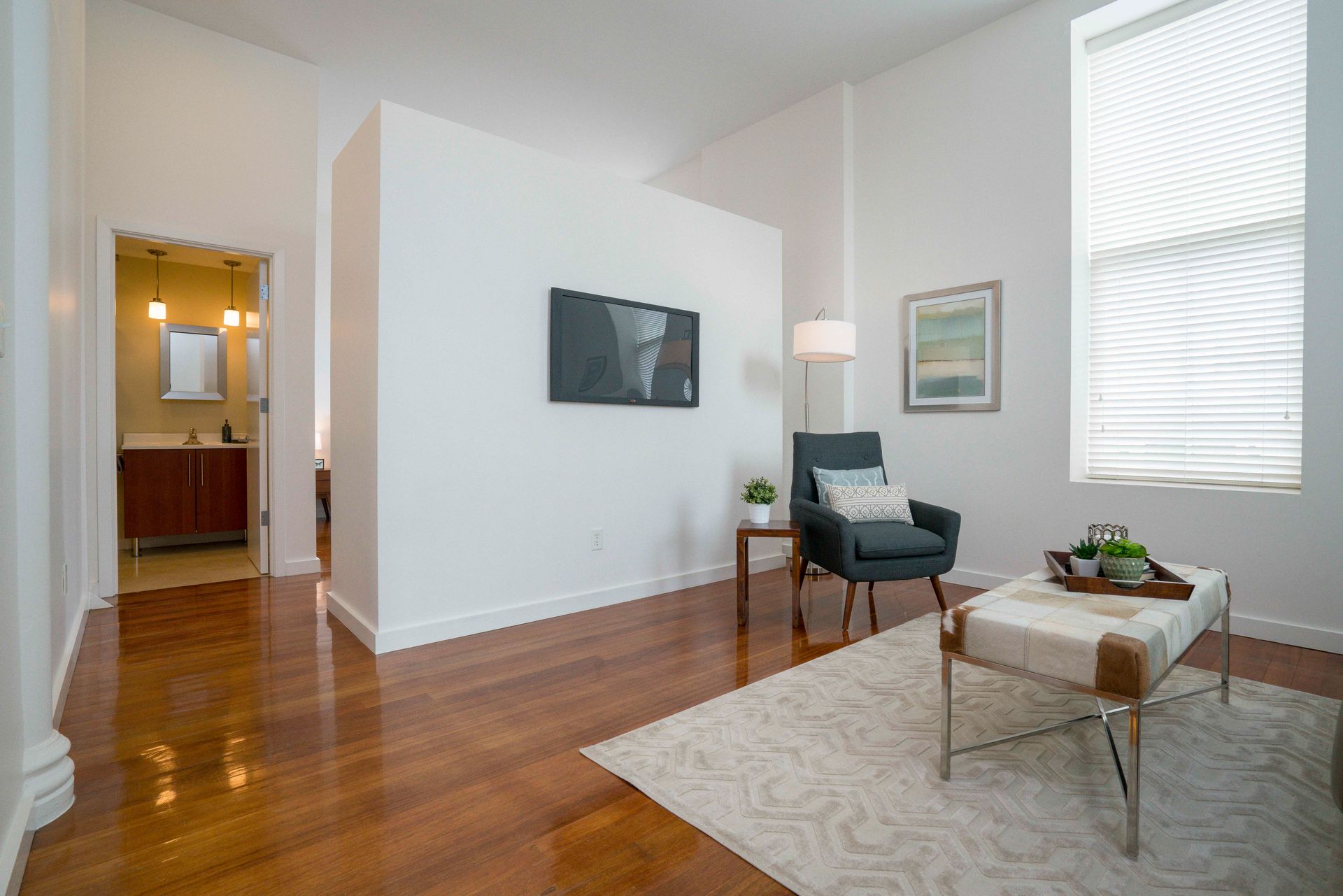 Living Room photo 2