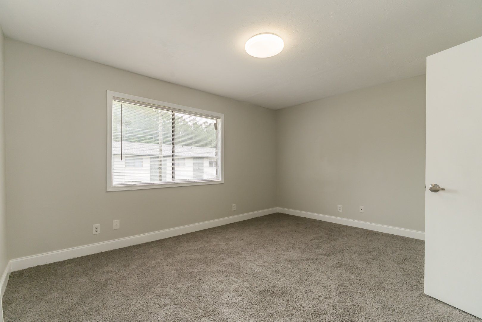 Empty carpeted bedroom with a window, white walls, and a ceiling light