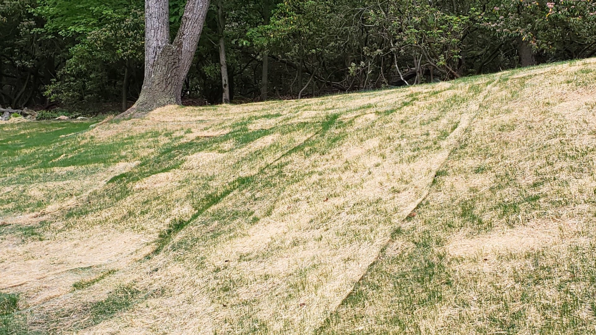 Curlex Erosion Control Fabric in Hanover, PA Hanover Concrete, Co.