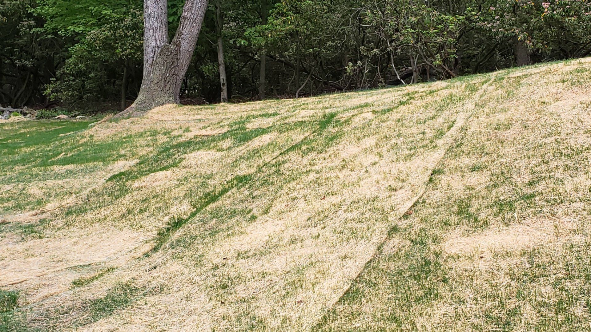 Curlex erosion control fabric - Hanover, PA - Hanover Concrete Co. Curlex erosion control fabric - Hanover, PA