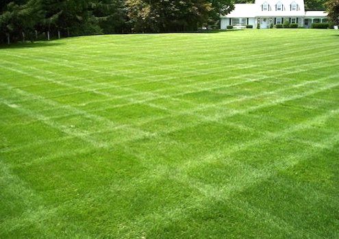 Grass Seed - Grass Seed in Hanover, PA