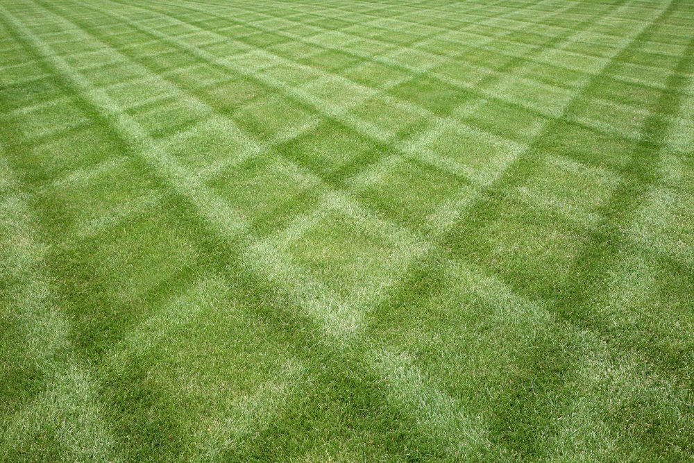 Grass Seed - Grass Seed in Hanover, PA