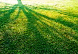 Grass Seed - Grass Seed in Hanover, PA