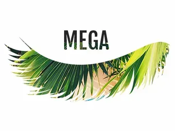 A picture of a palm tree leaf with the word mega written on it.