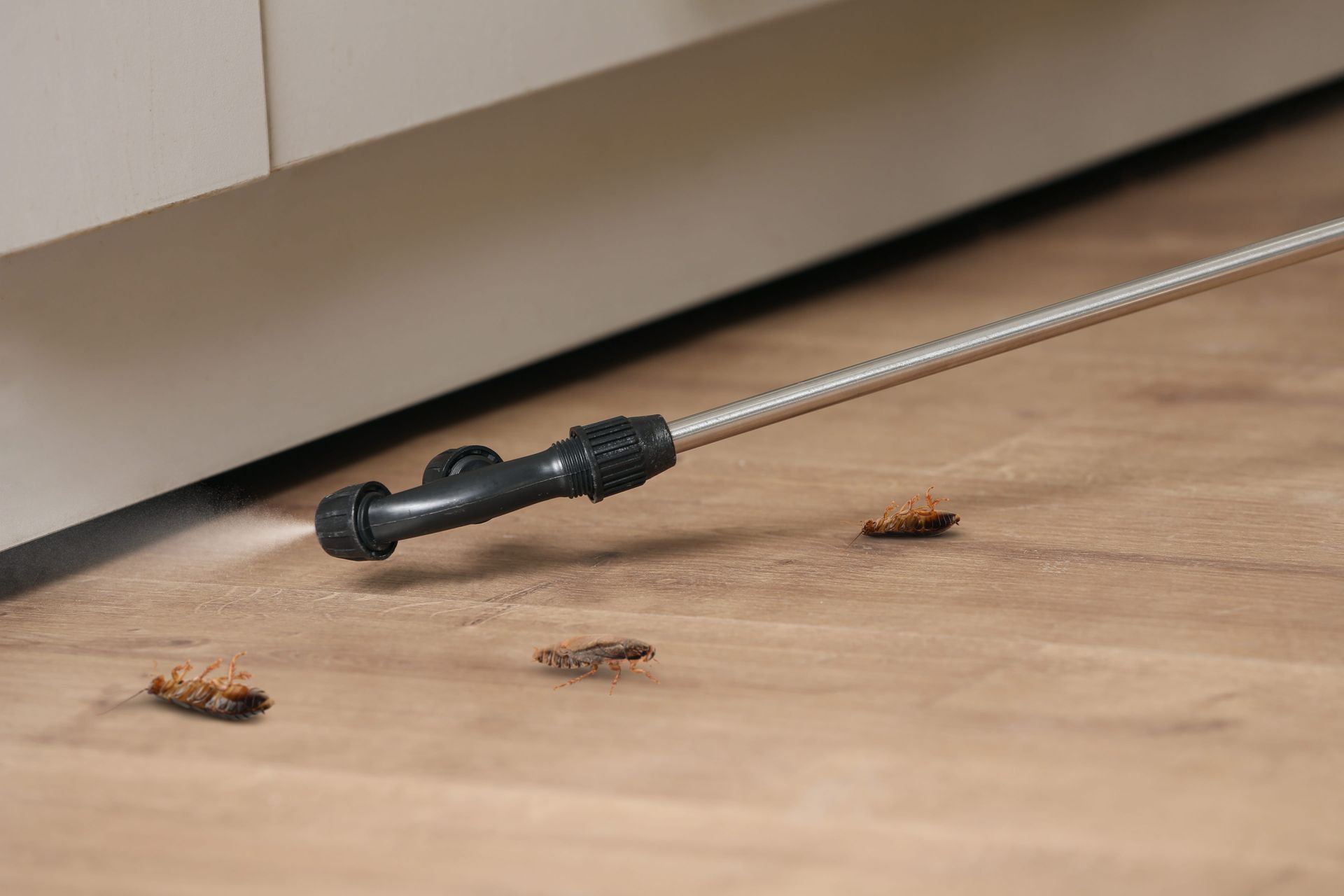 A metal pest control wand on a floor with small cockroach remains near a cabinet.