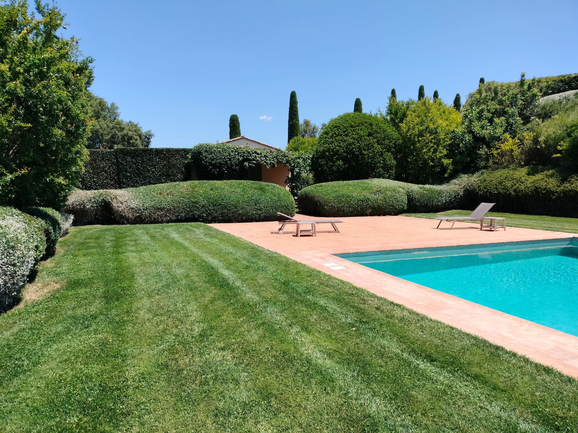 Una grande piscina circondata da un rigoglioso prato verde