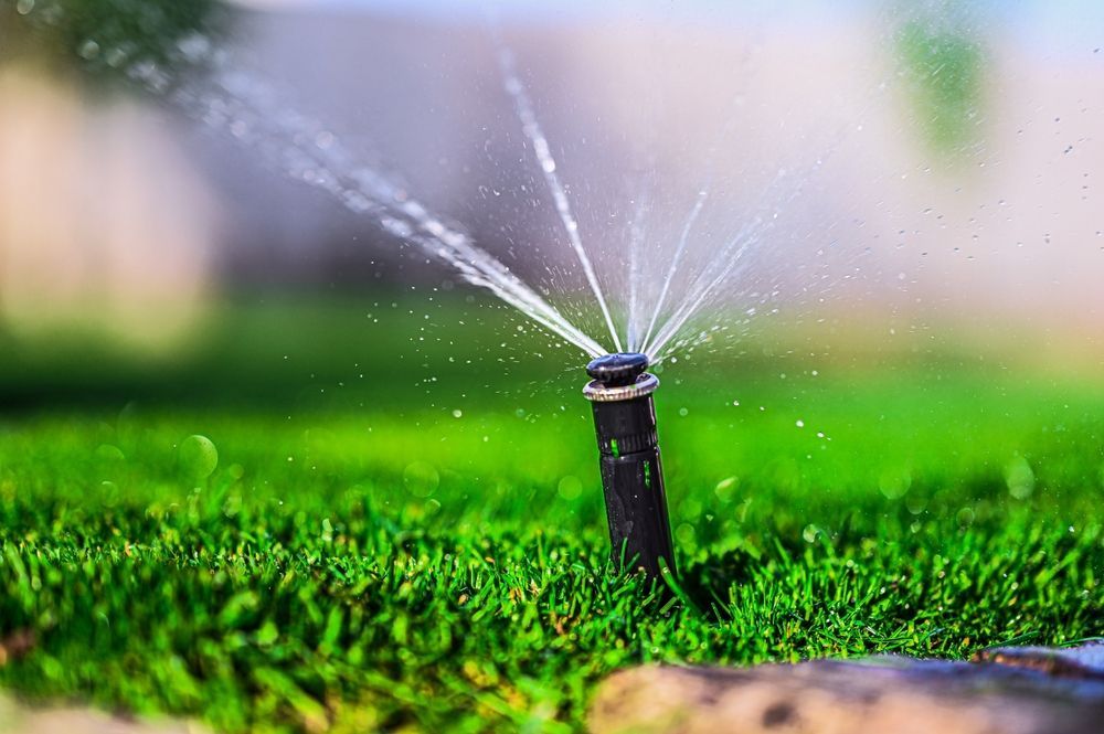 Primo piano di un irrigatore che spruzza acqua su un prato verde rigoglioso.