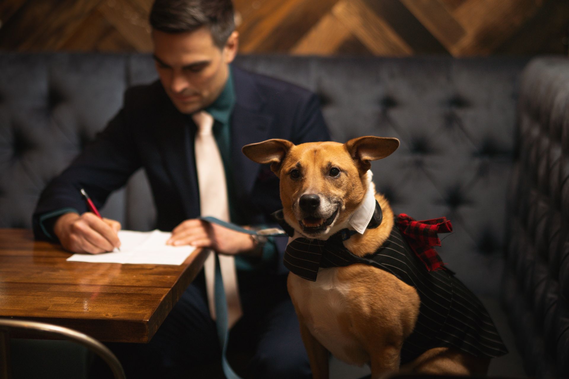 Man in suit writing, dog in suit smiles at the camera at a table in a booth.