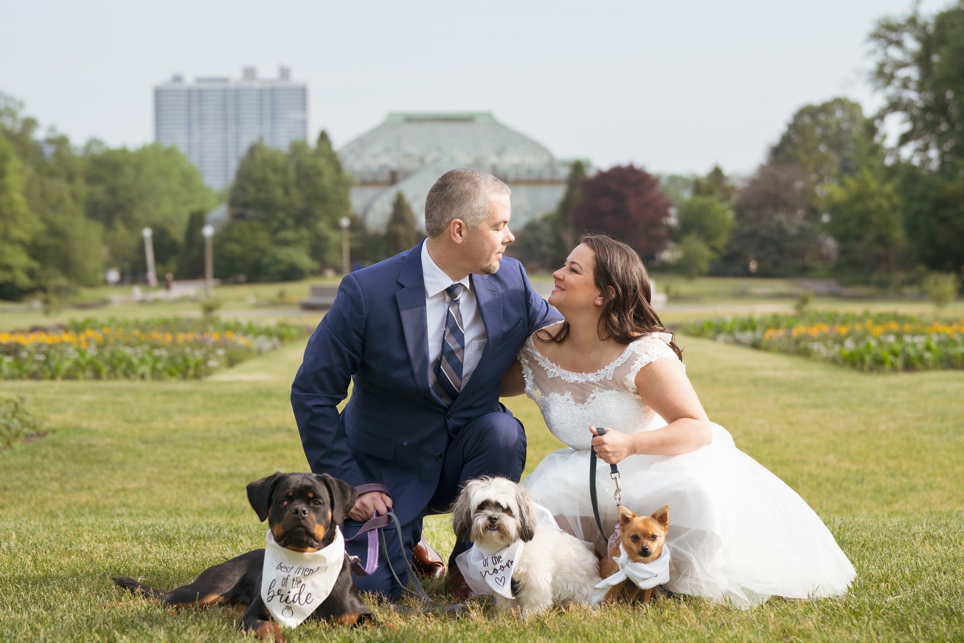 Newlyweds pose with three dogs in a park. Man in suit, woman in white dress smile, dogs wear bandanas.