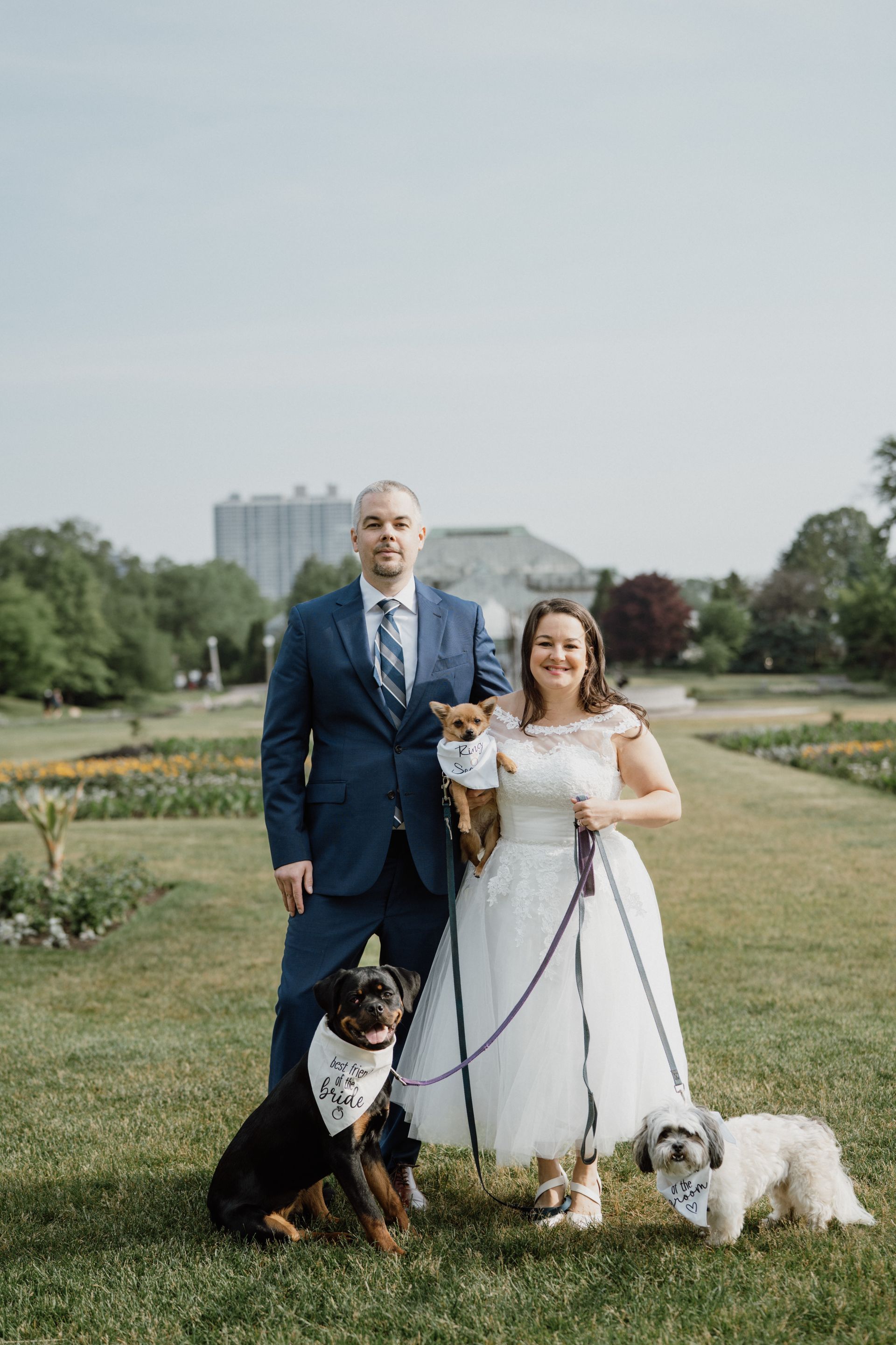 Couple poses with three dogs in a garden. The man wears a blue suit; the woman, a white dress.