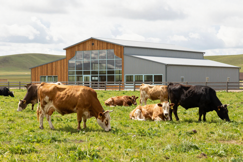 Livestock farm demonstration