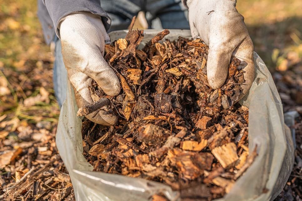 A Person Is Holding A Bag Of Wood Chips In Their Hands — Blondies Bins in Ooralea, QLD