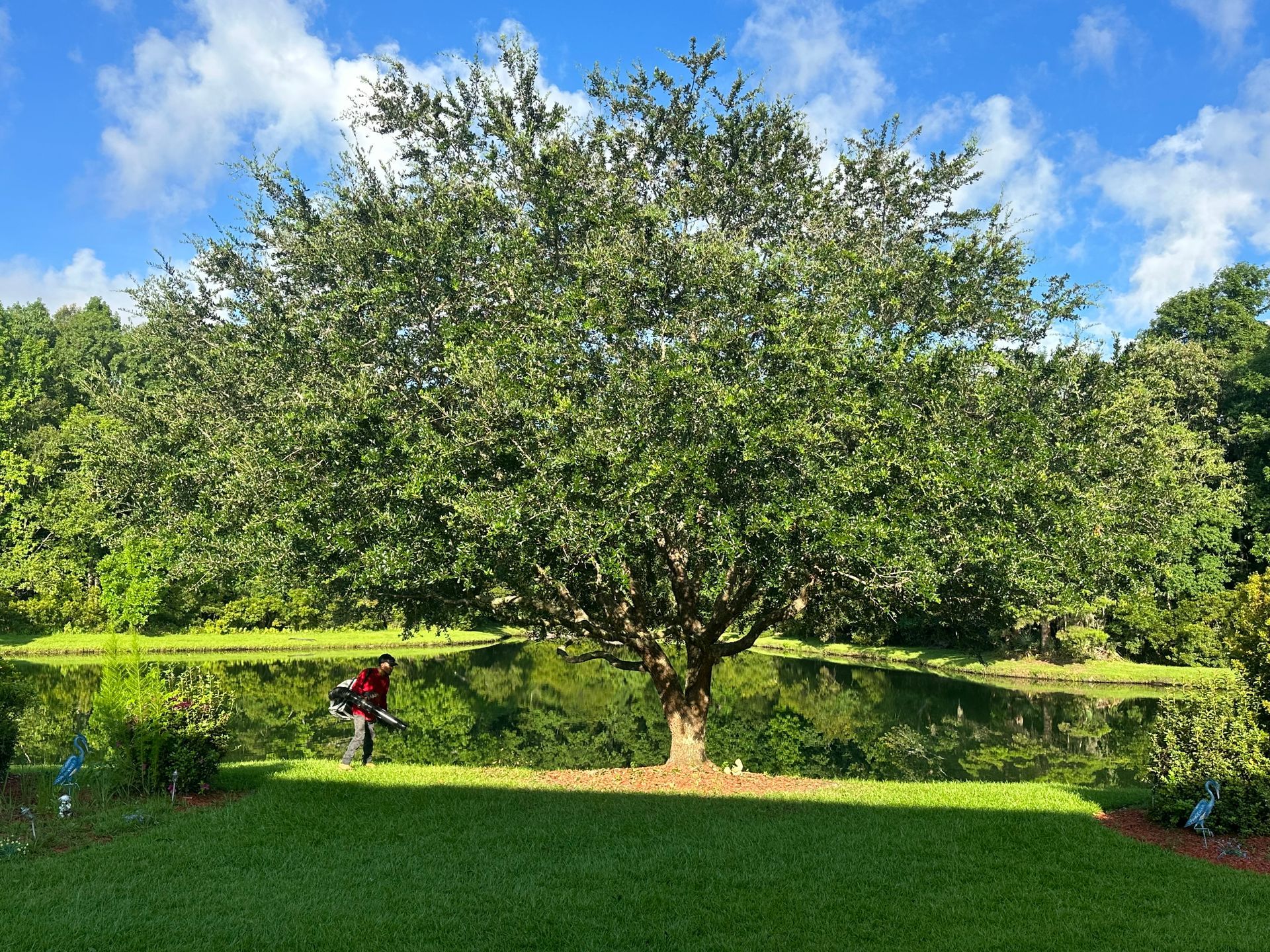 Paz Tree Care TX Houston