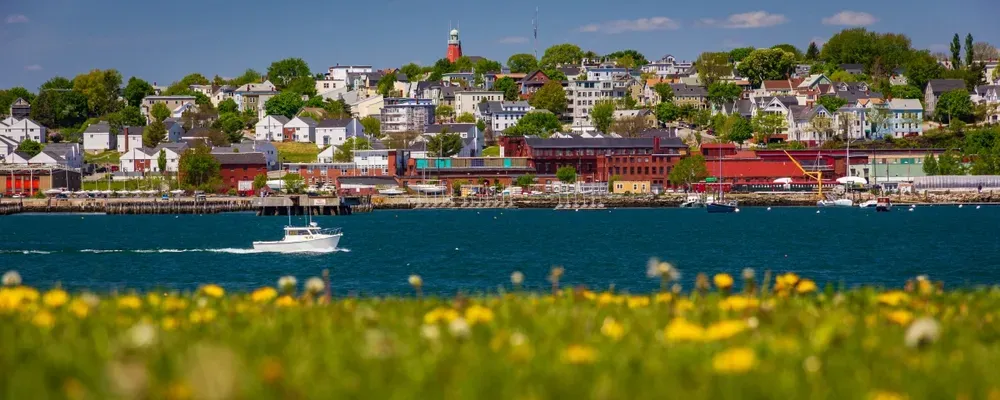 Harbor town across blue water with a small boat and yellow flowers in the foreground