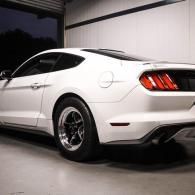 white car
