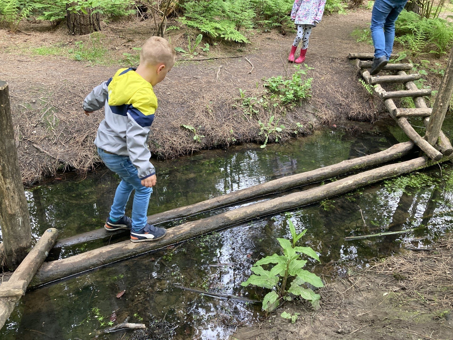 Het belevenissenbos in Lelystad