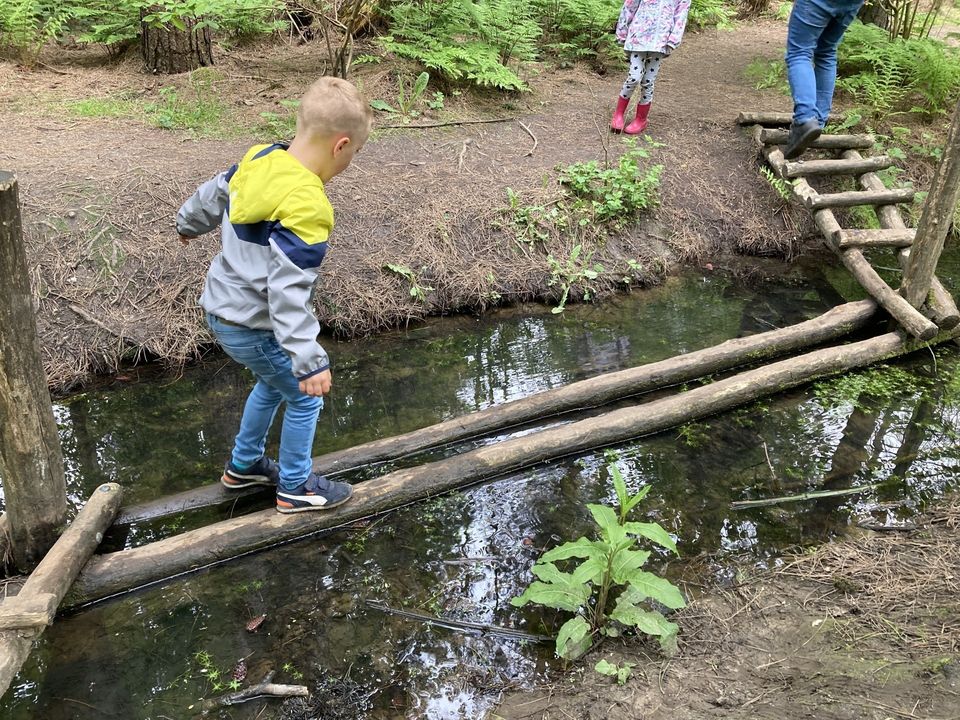 Het belevenissenbos in Lelystad