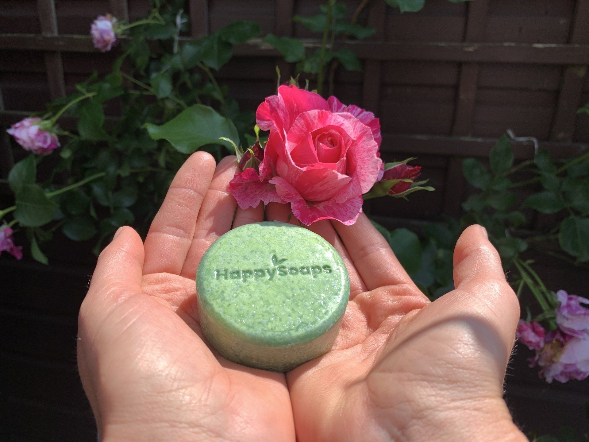 HappySoaps aloe vera shampoo bar
