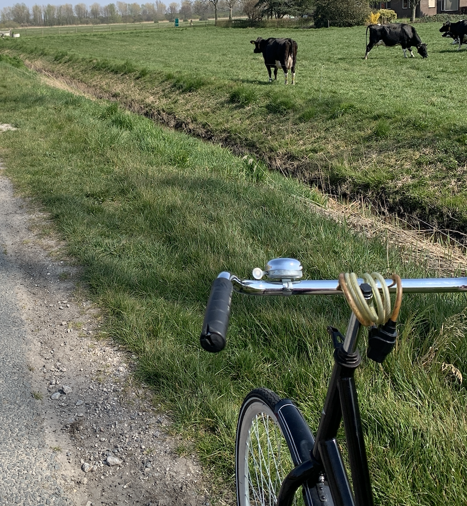 Bespaar tip  van de dag... pak de fiets!