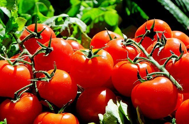 Seizoensgroenten van September, met lekkere recepten