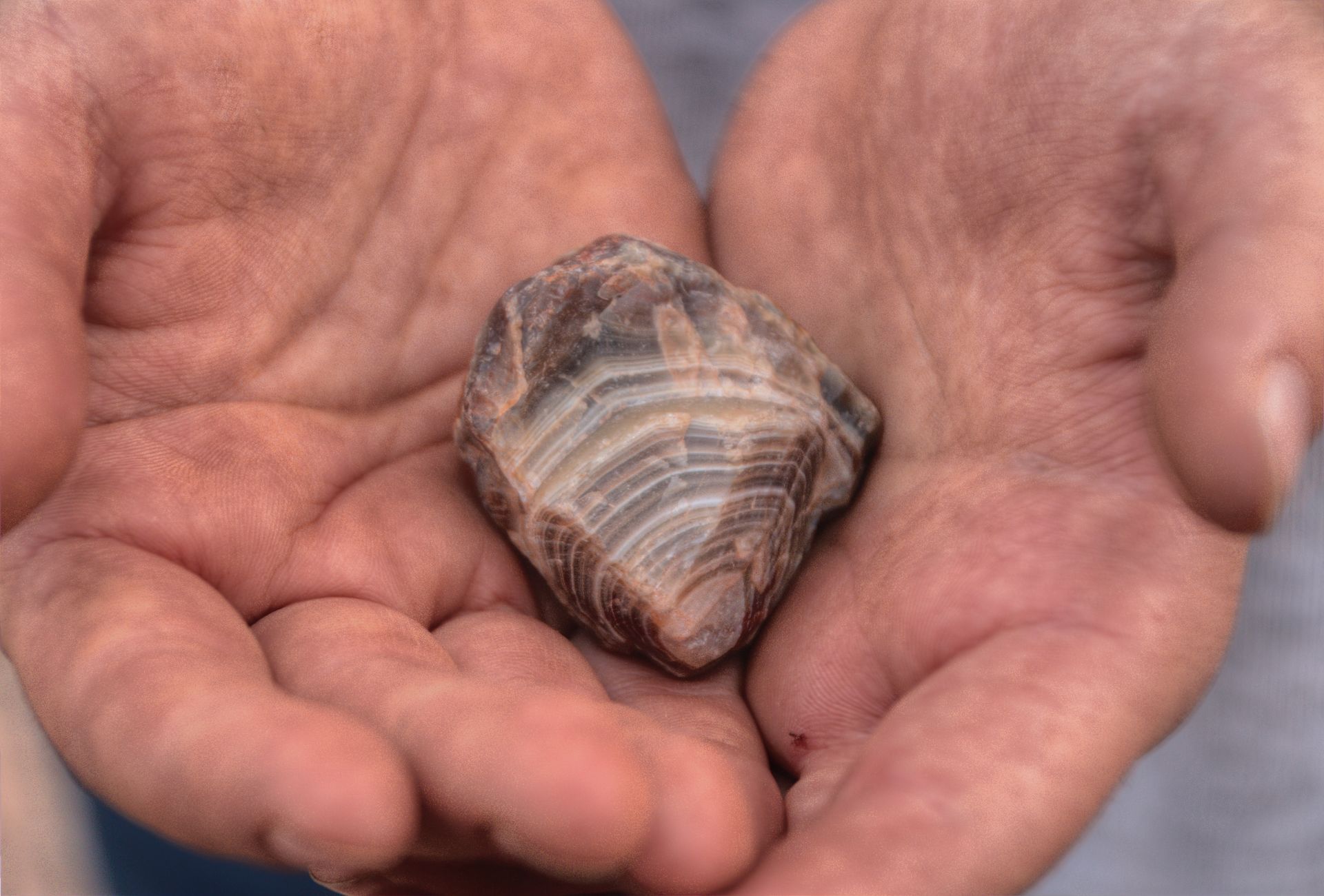A person is holding a rock in their hands.