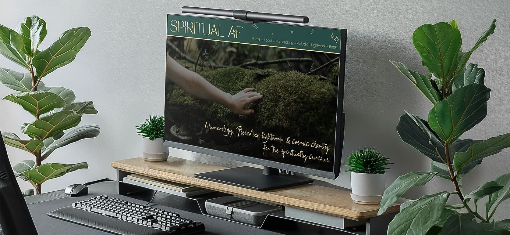 Desktop setup with dual monitors, keyboard, and potted plants on either side