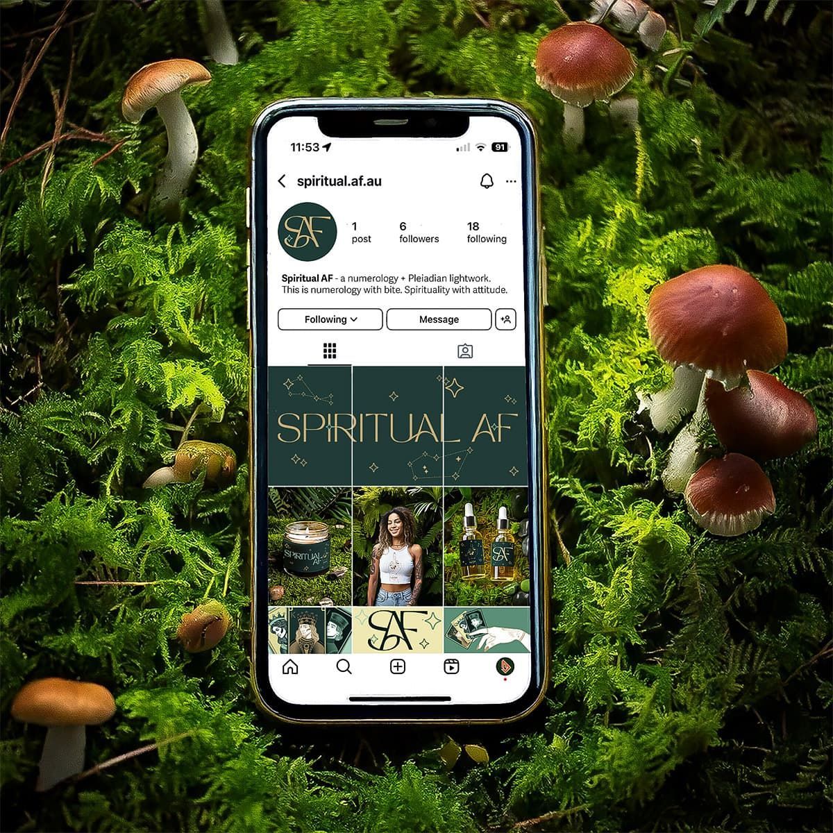 Smartphone showing a social media profile on a mossy forest background with red mushrooms