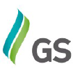 Logotipo de llama verde azulado y verde con texto 