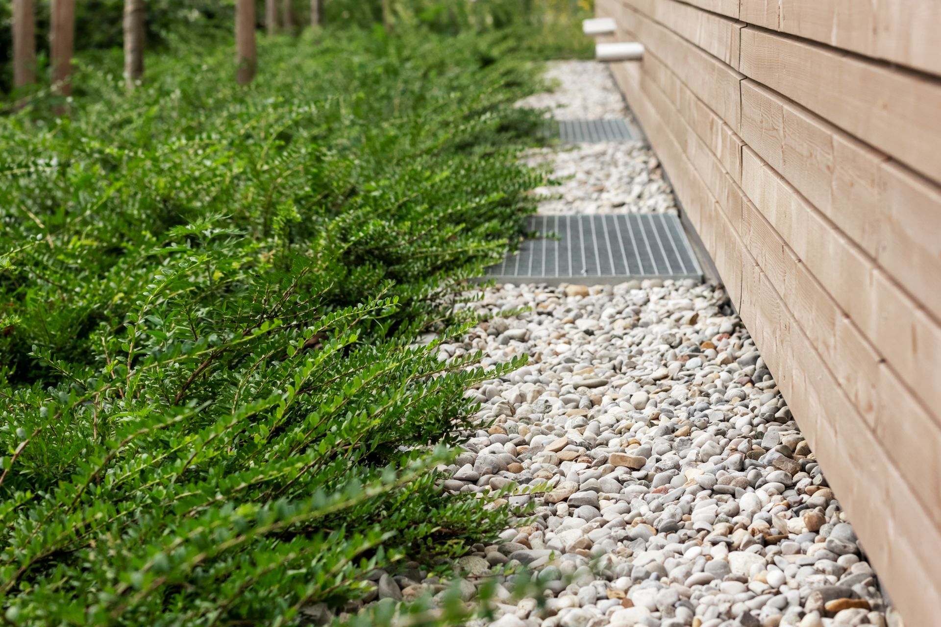 Chemin de gravier longeant un mur en bois, bordé d'arbustes et d'arbres verdoyants.