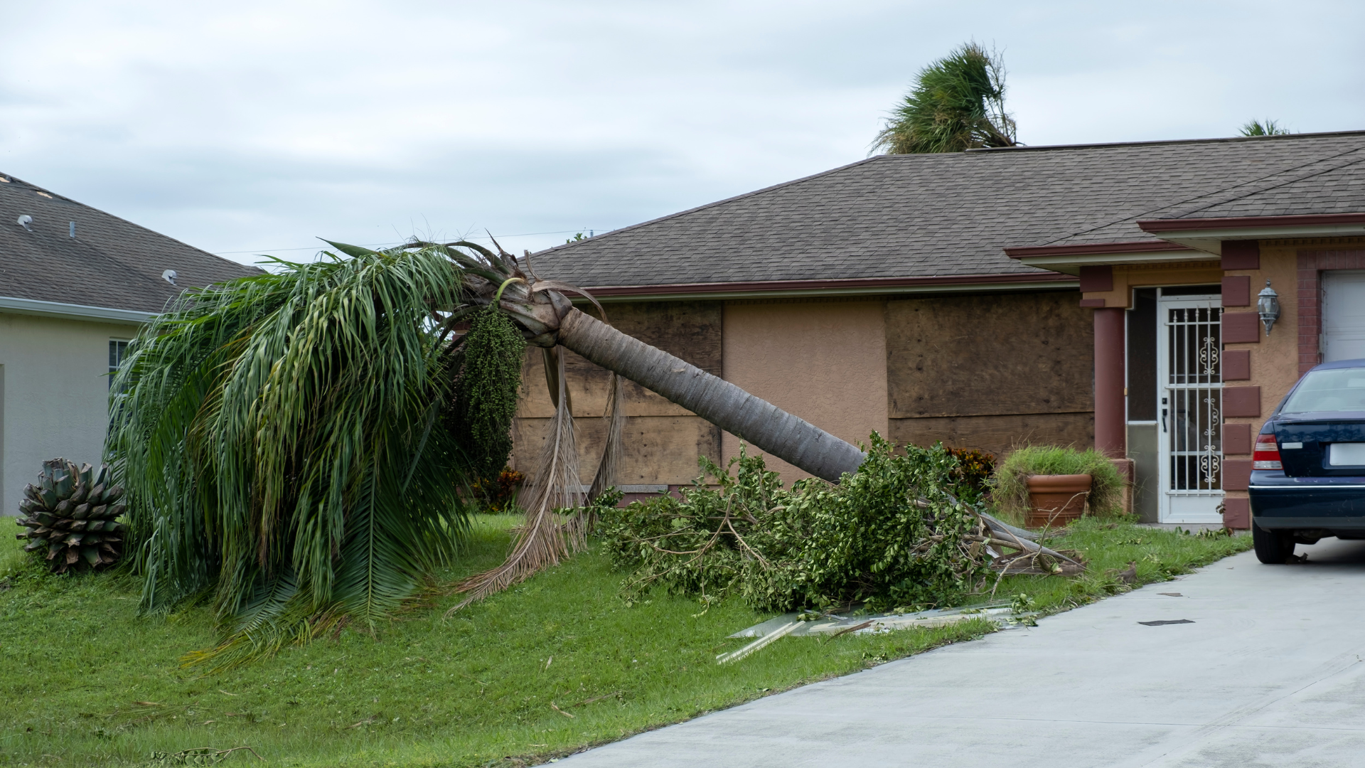 Storm Damage Tree Removal