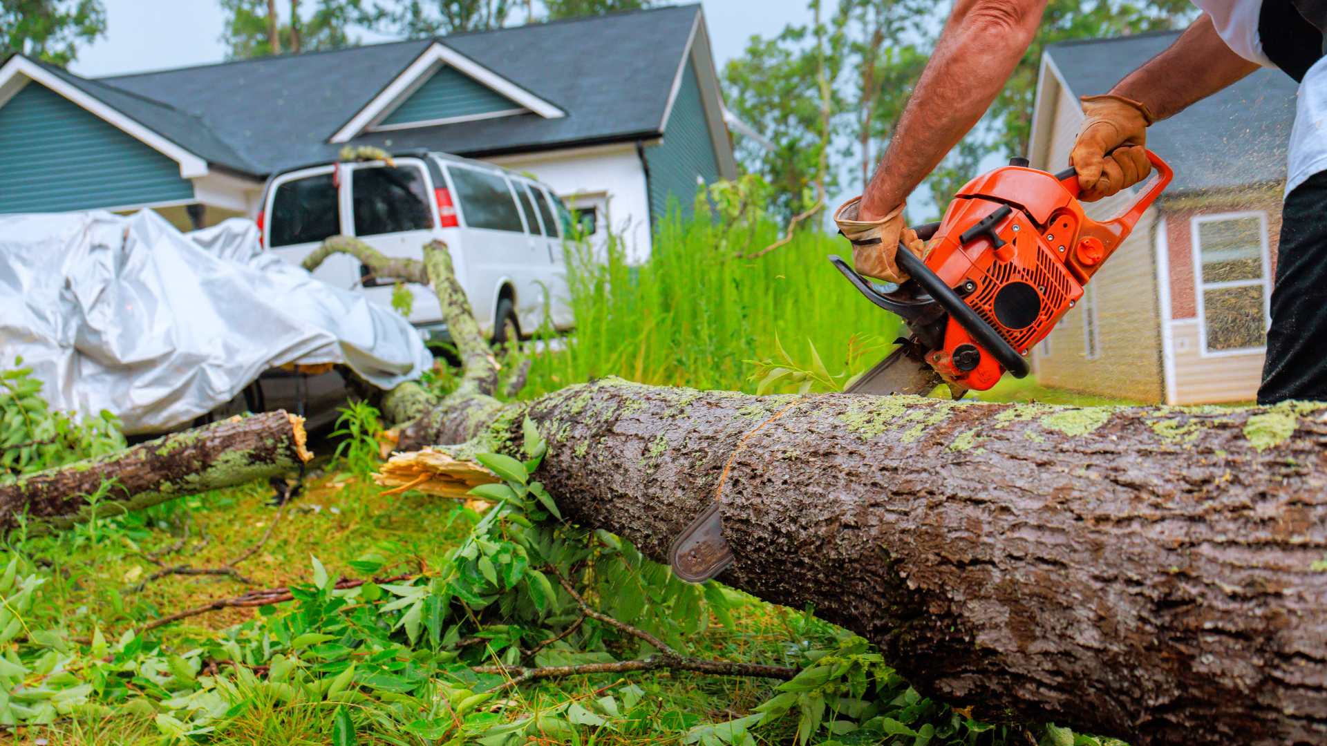 storm damage tree removal for fallen trees in St. James MO