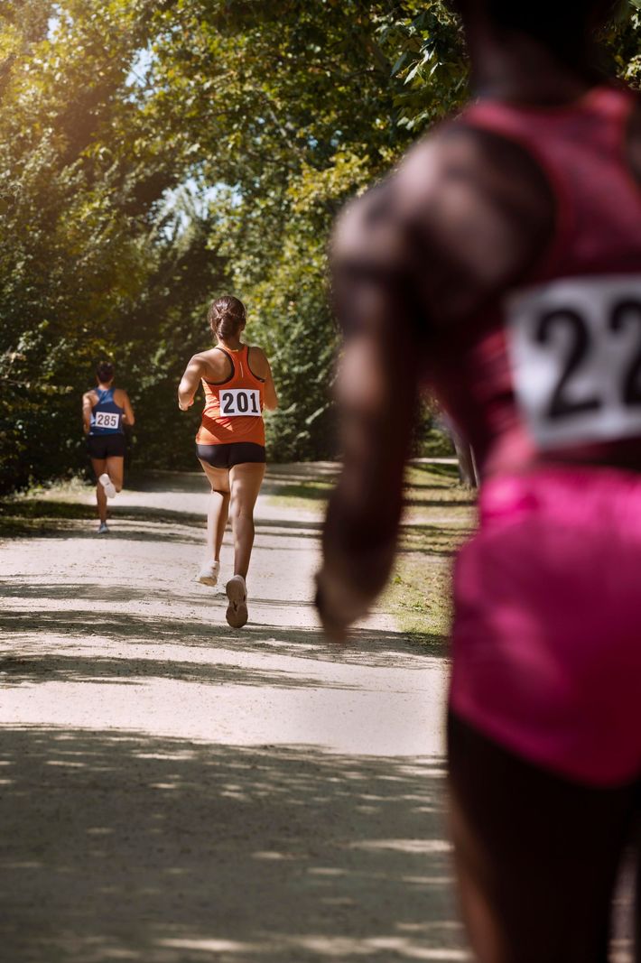 Des coureurs participent à une course sur un chemin bordé d'arbres. Gros plan sur les coureurs portant les dossards : 201 et 22.