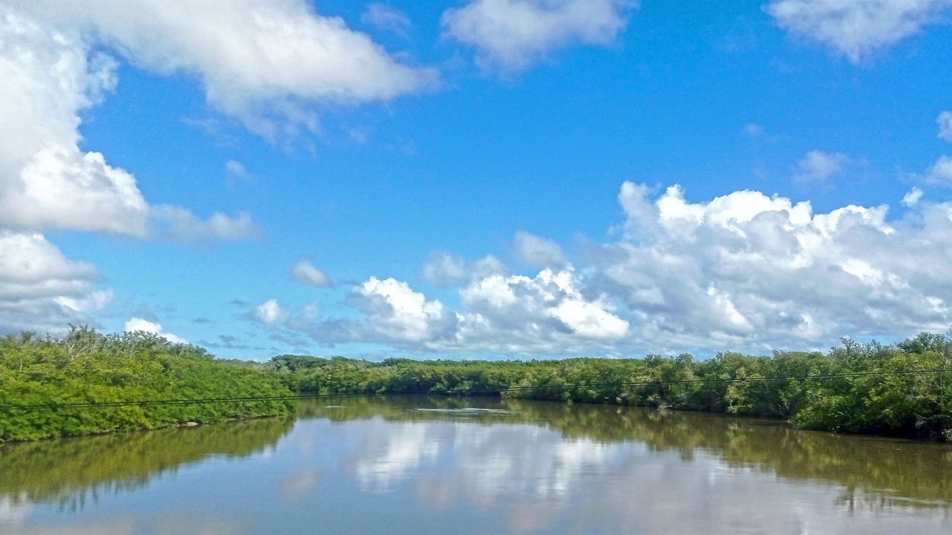 Passeios ecológicos e natureza