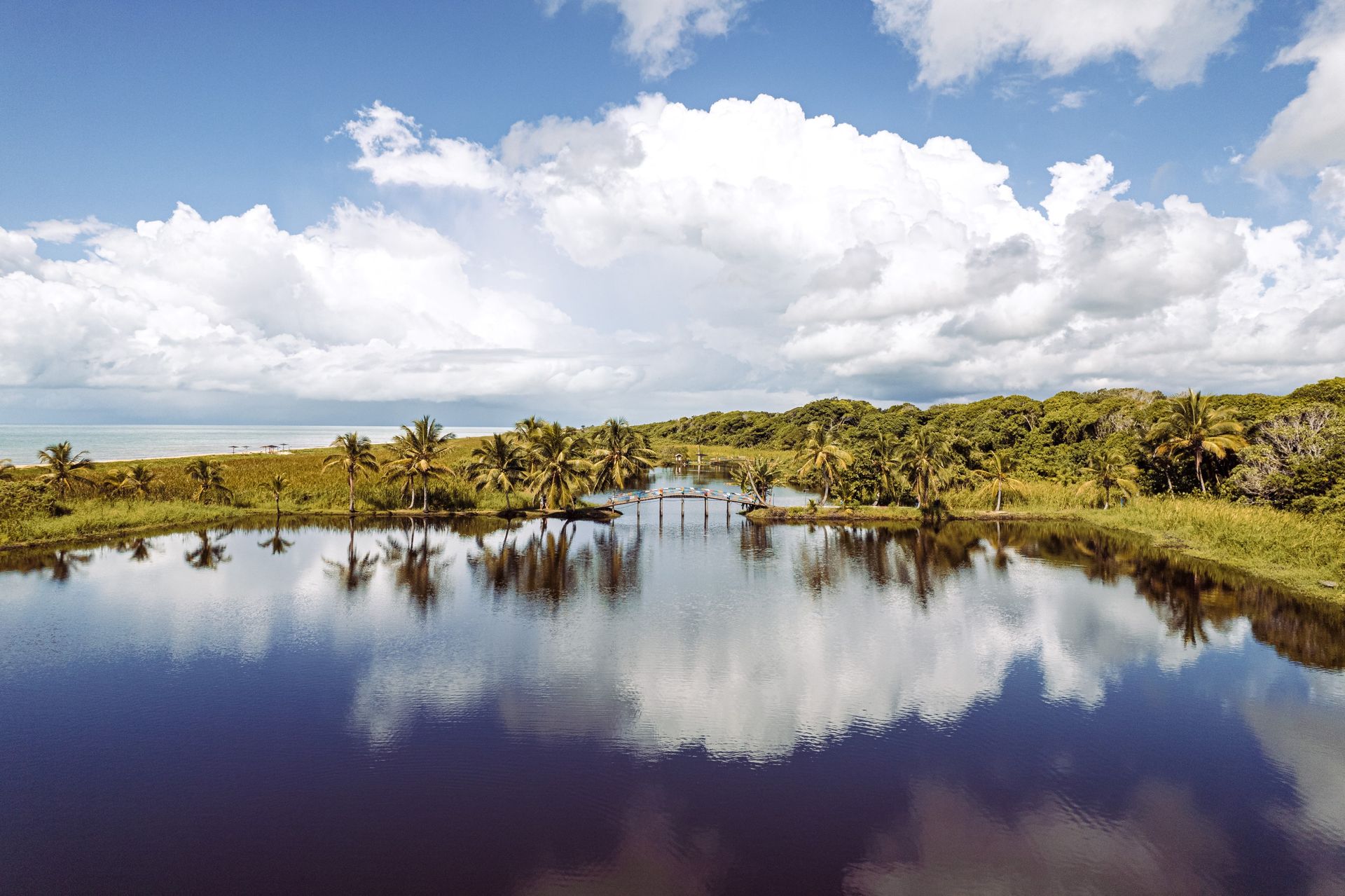 Amplo pântano refletindo nuvens e palmeiras sob um céu azul brilhante.