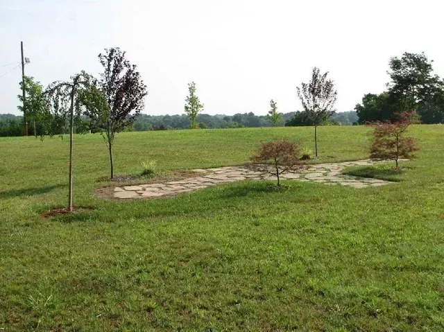 Grassy field with small trees and a stone path under an overcast sky