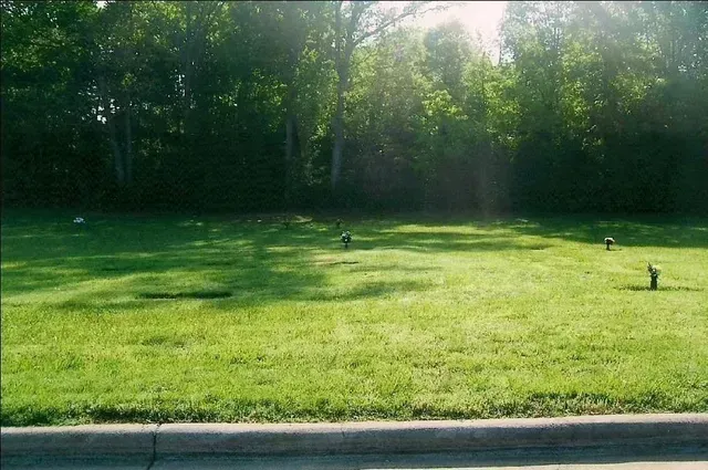 Sunny grassy park with trees in the background and a curb in the foreground
