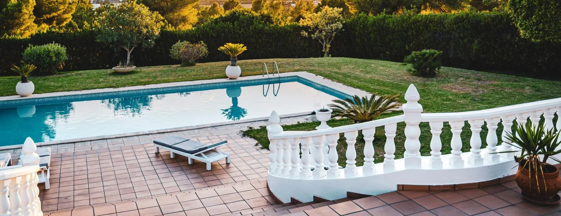 Perfect Patio Plants Best Greenery for Container Gardens