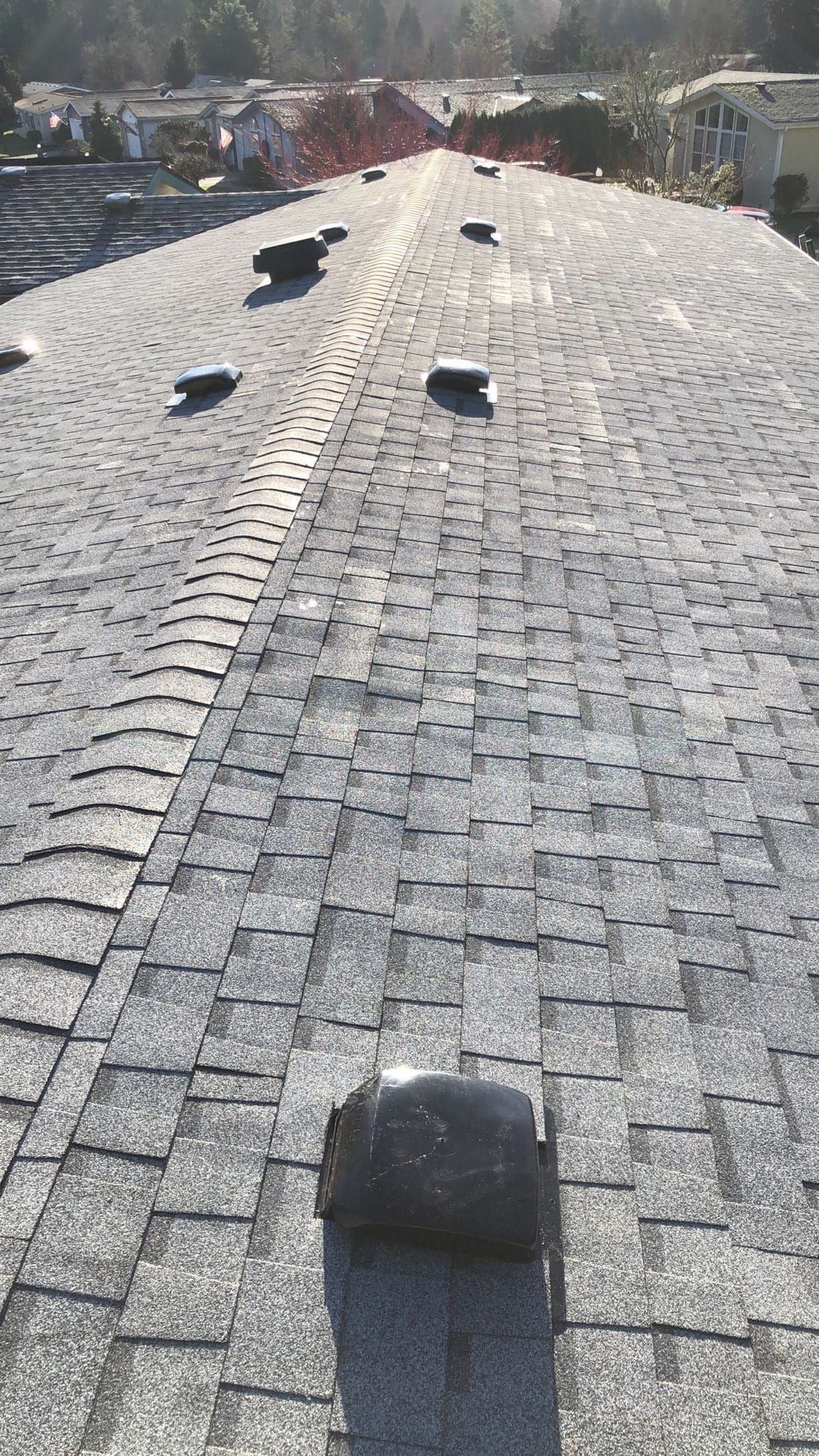 Asphalt shingle roof with multiple box vents