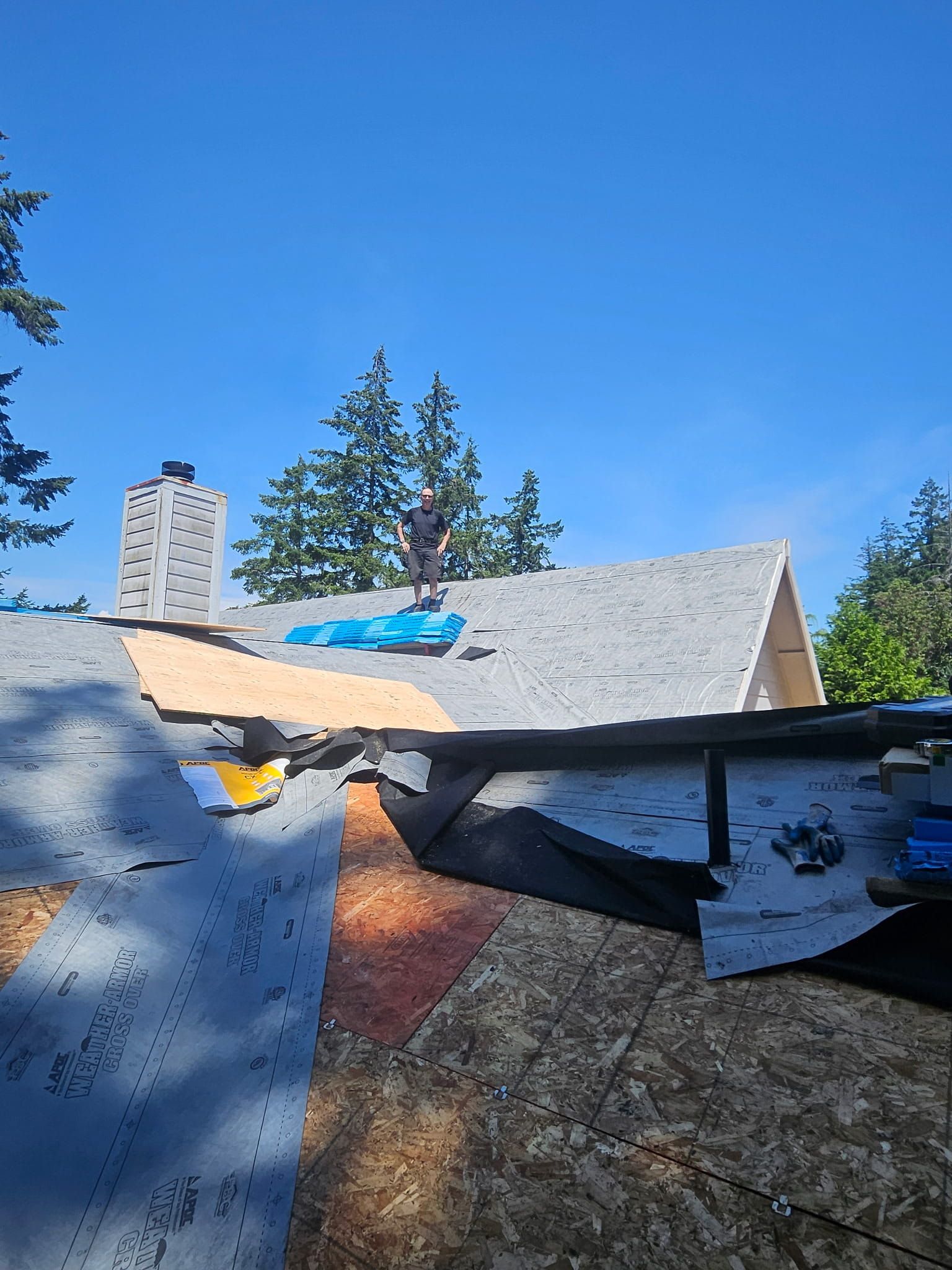 Roof Maintenance Rules for Western Washington Homeowners