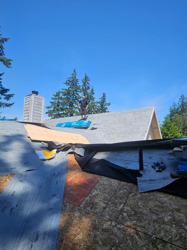 Damaged roof shingles awaiting professional repair