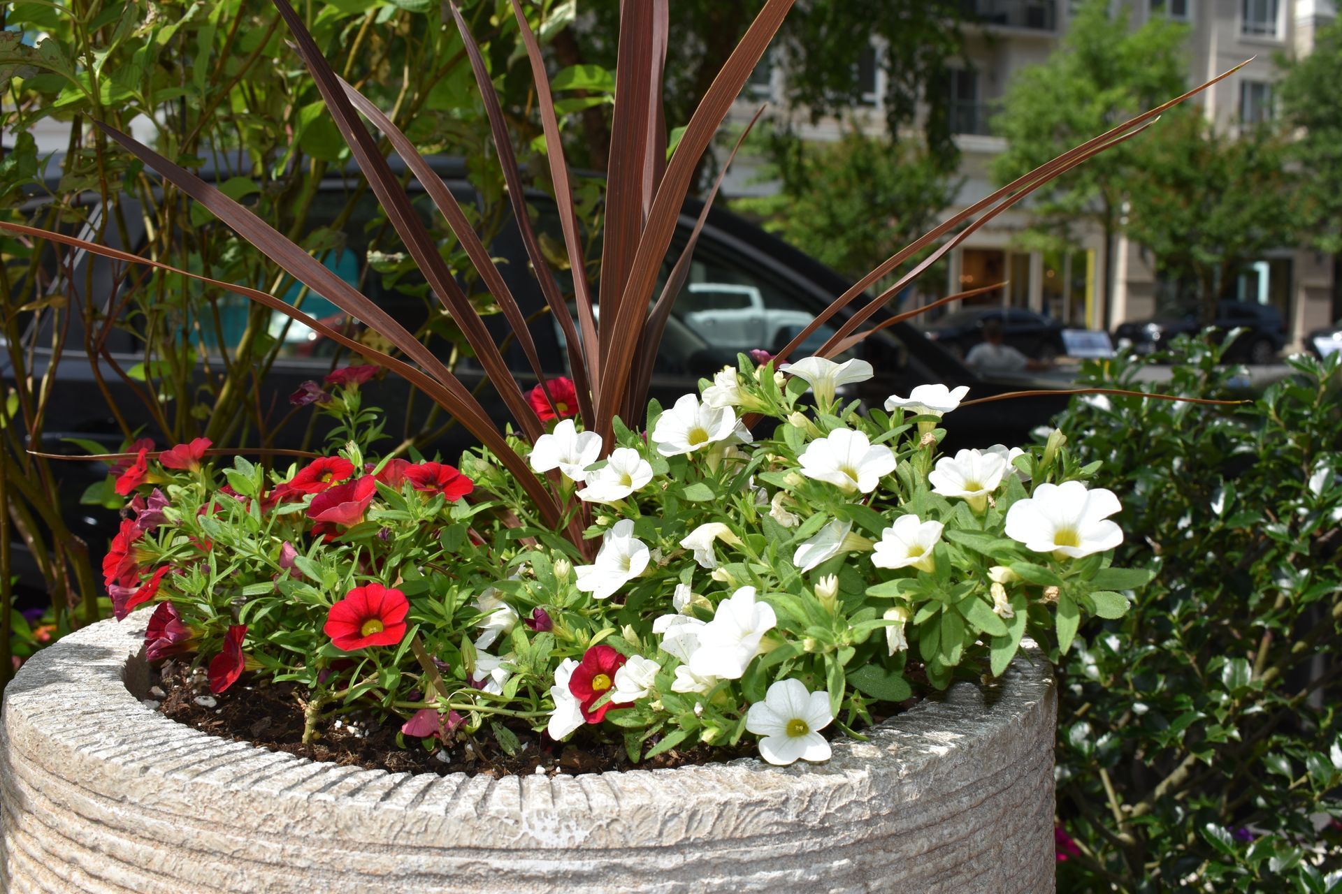 A commercial flower pot with palms and annual flowers bring color to a commercial landscape.