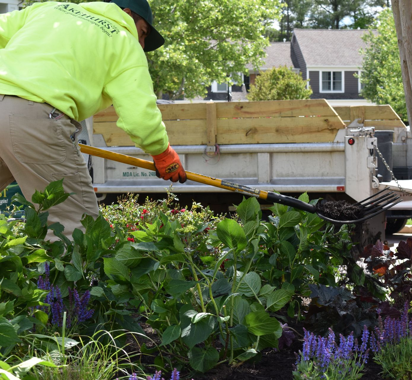 A team leader placed mulch in a newly installed flower bed with a pitchfork.