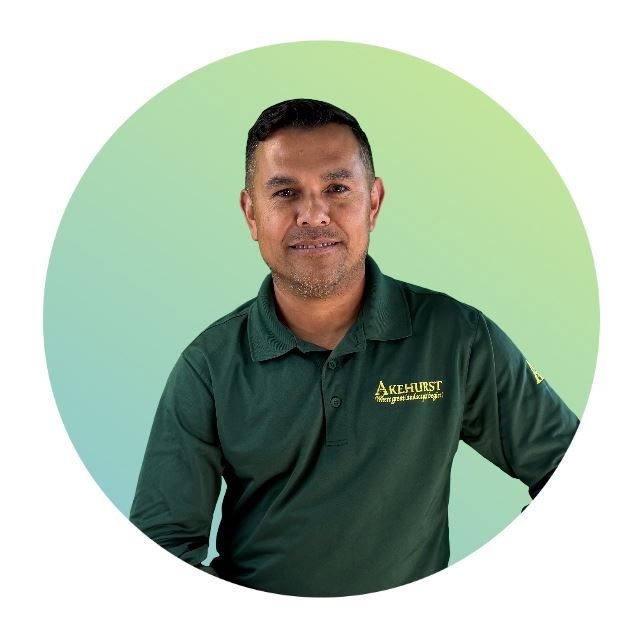 Omar Flores - Supervisor