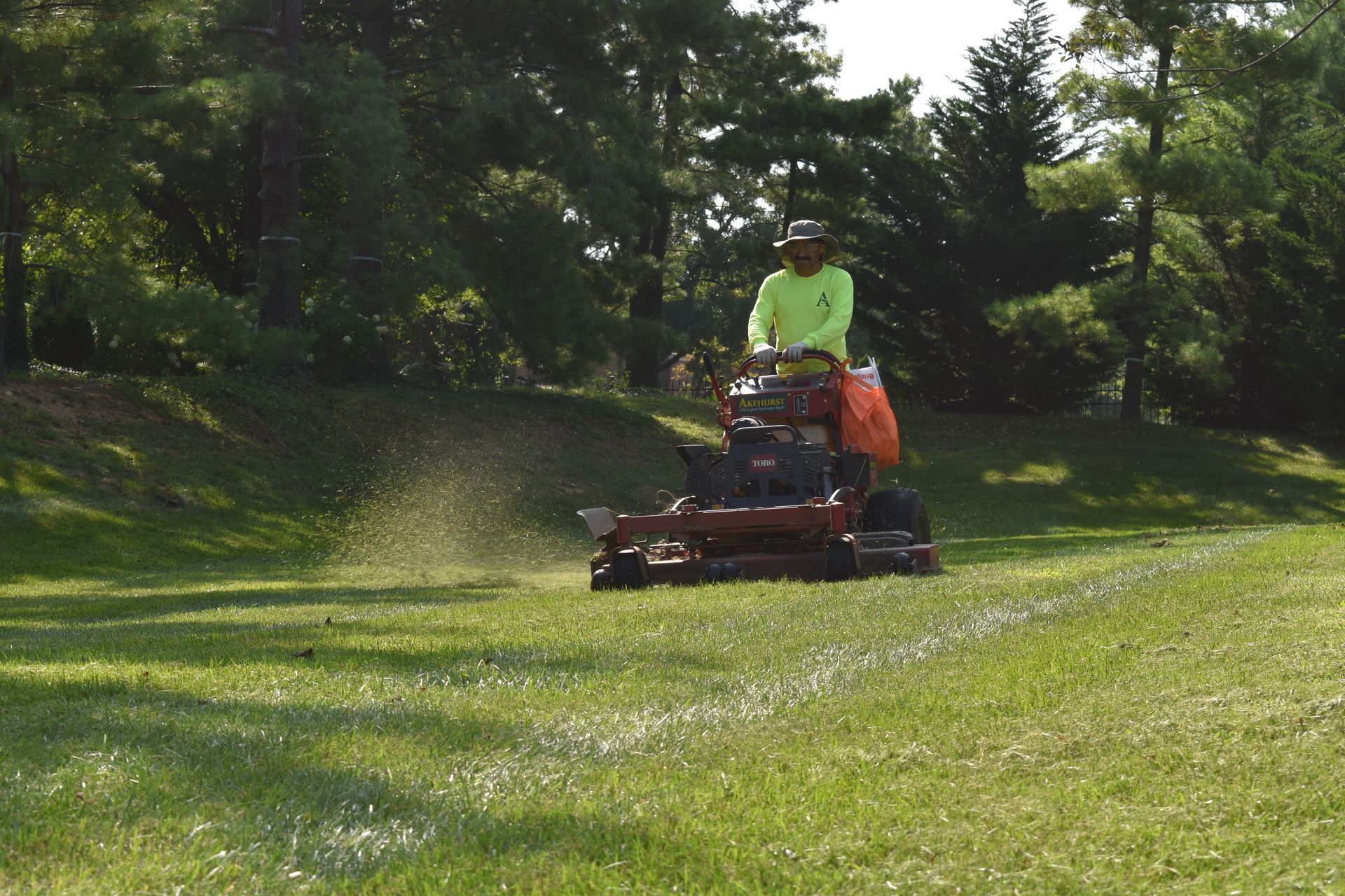 A man is trimming a hedge in a garden with a hedge trimmer.