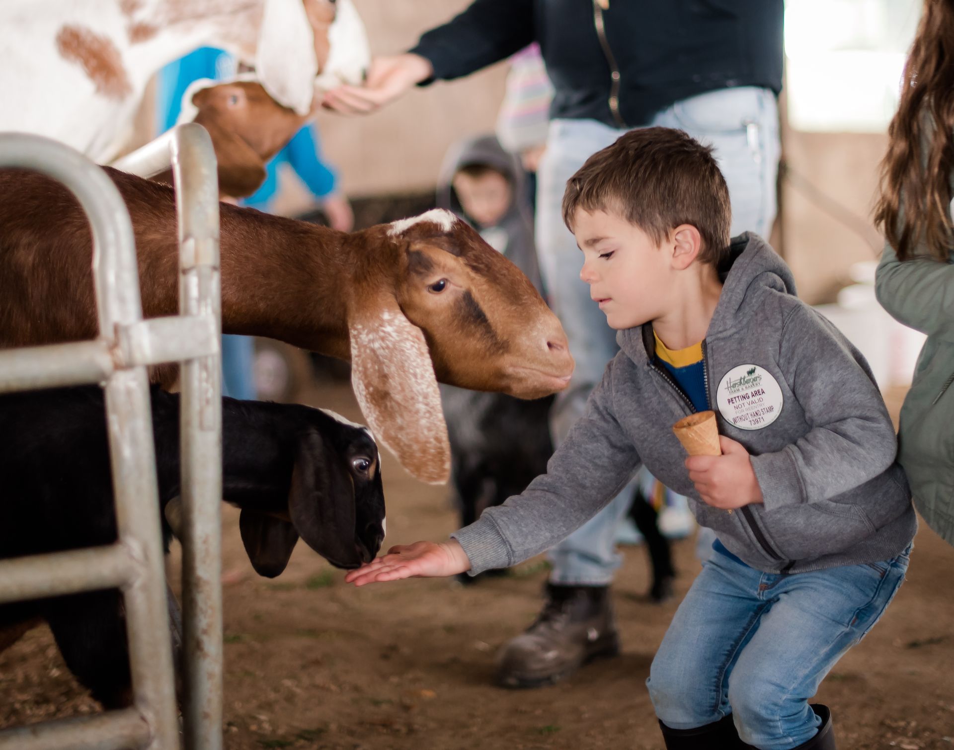 A young boy in a gray hoodie feeds a brown goat in a barn, holding an ice cream cone. Other people and goats are visible.