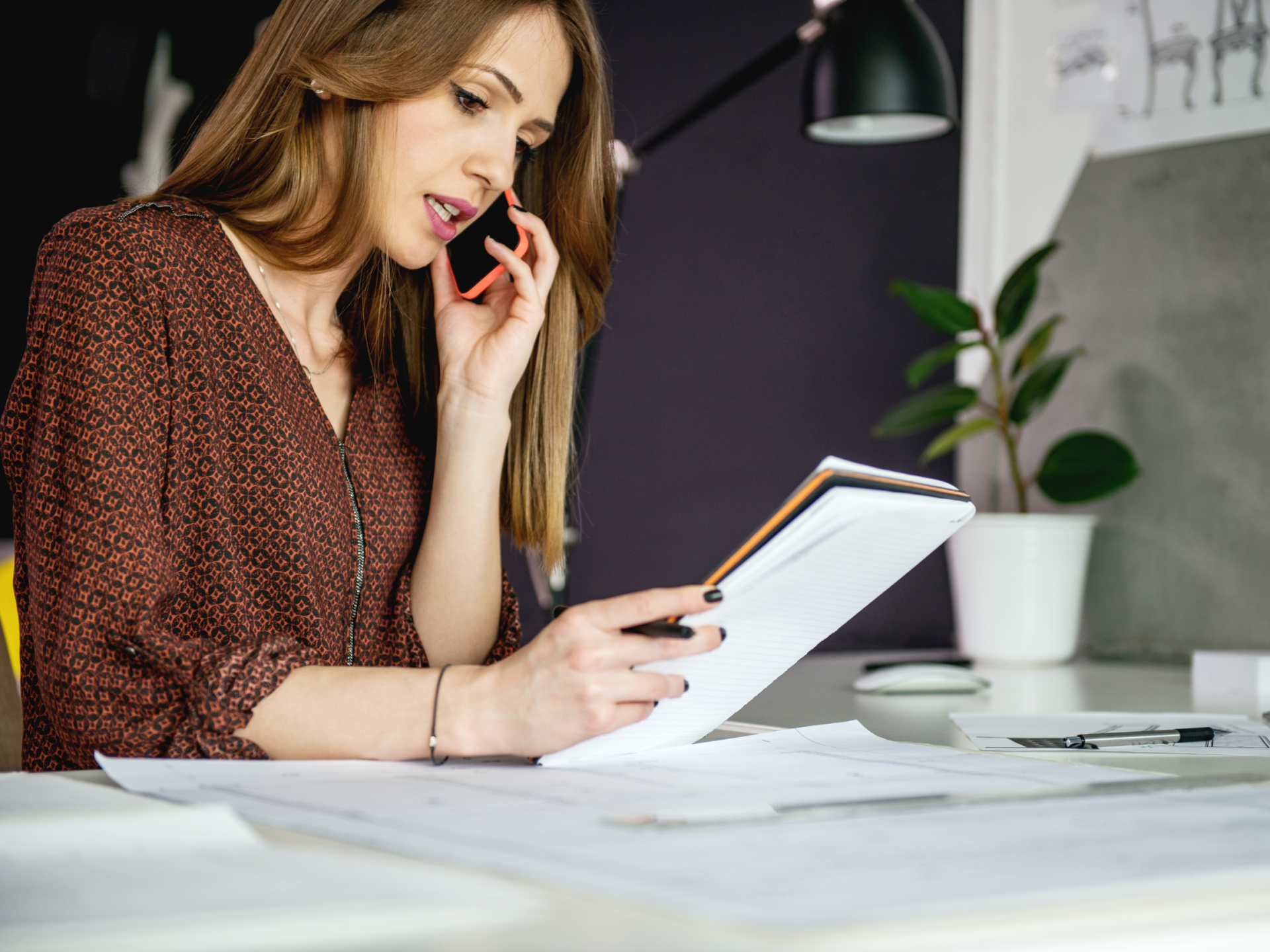 Women organized and productive planning 