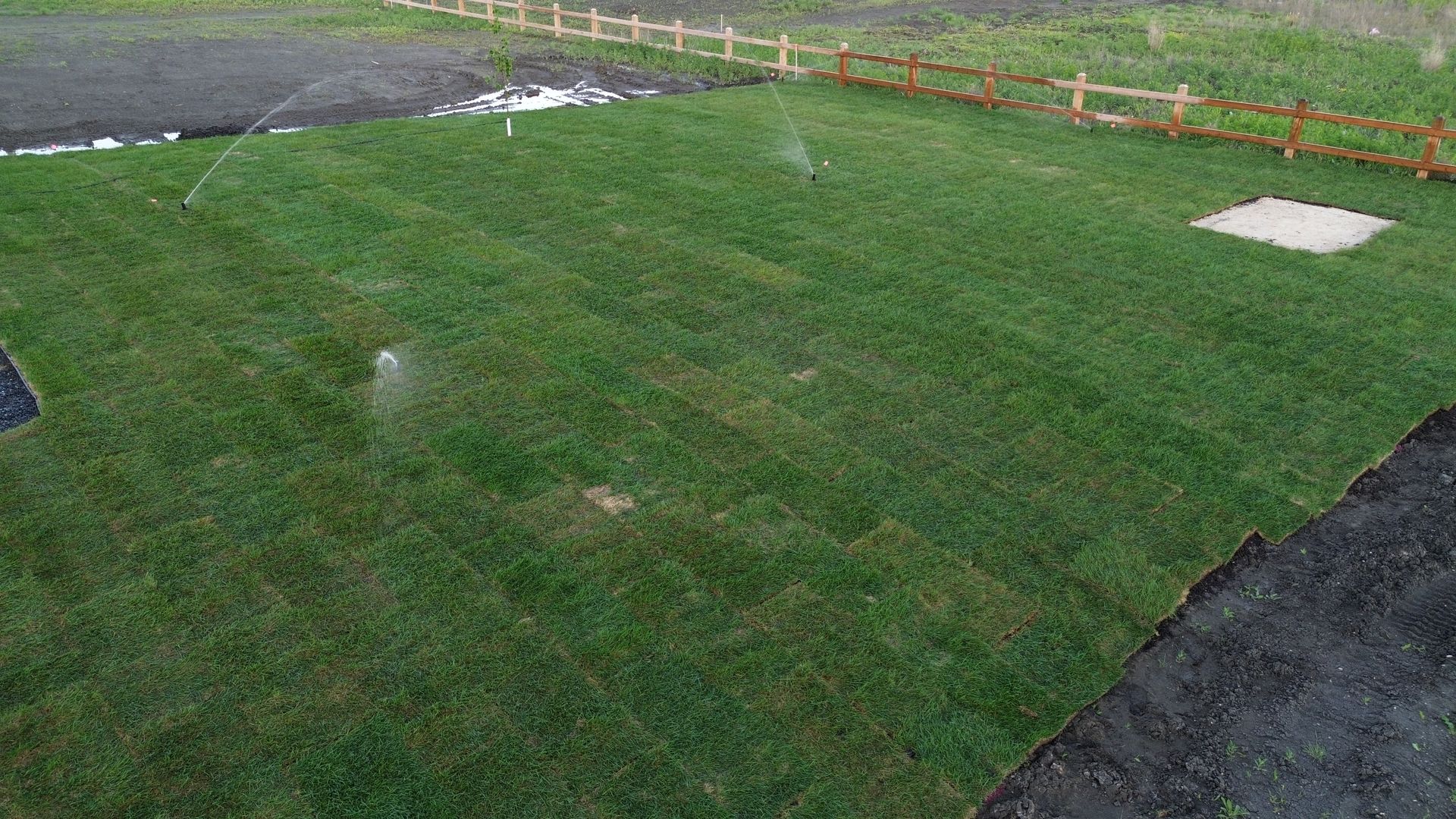 Green turf lawn with sprinklers, surrounded by a fence and garden bed and sprinklers