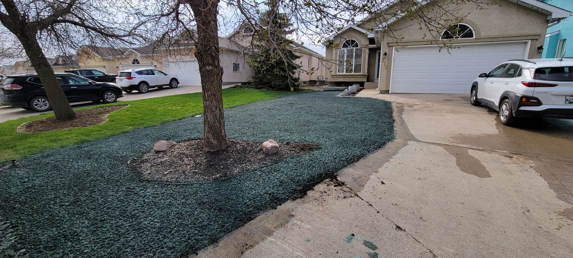 Residential scene with cars parked in a driveway and in front of a house with a green lawn.